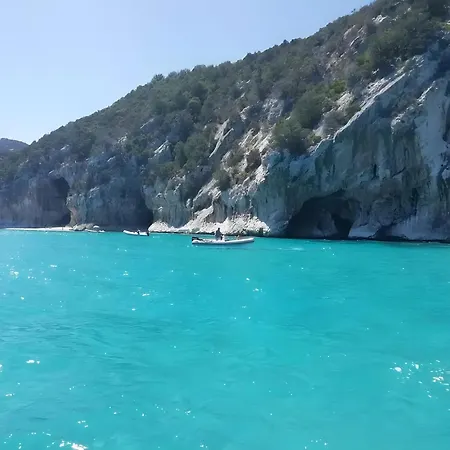 Daire Eden Portofrailis Àrbatax